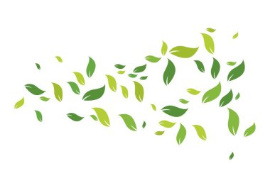 Yeşil yapraklı ekoloji doğa elementi 