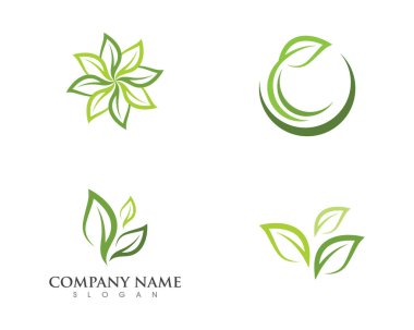 Yaprak ekoloji doğa Logo şablonu