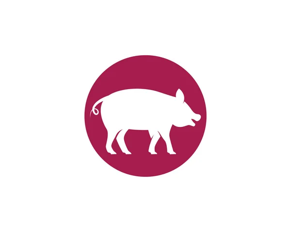 Вектор логотипа свиньи — стоковый вектор