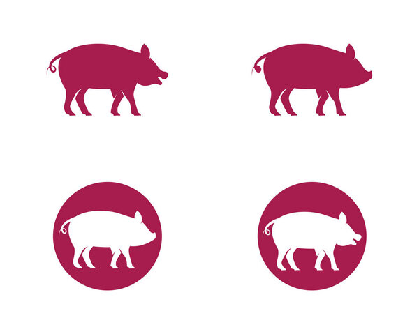 Pig Logo Template vector