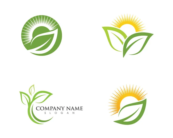 Leaf ekologi natur logotyp mall — Stock vektor