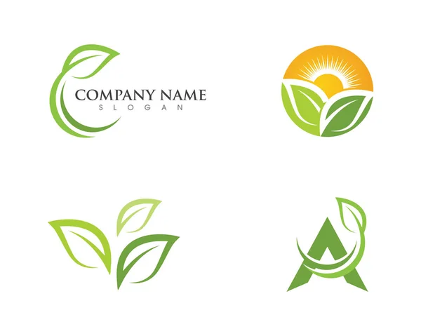 Leaf ekologi natur logotyp mall — Stock vektor
