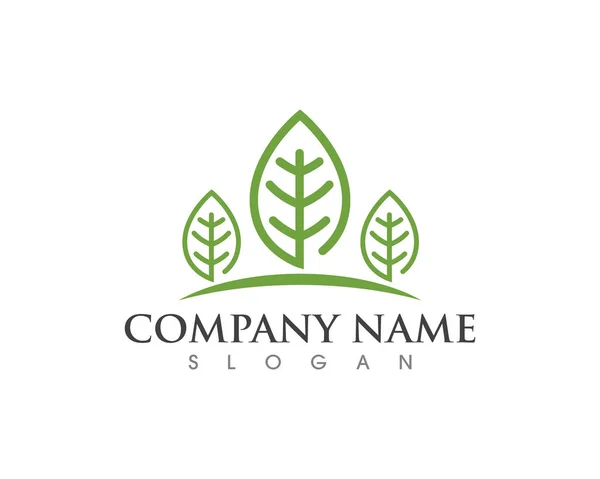 Foglia ecologia natura Logo Template — Vettoriale Stock