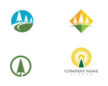 Sedir ağacı Logo şablonu vektör