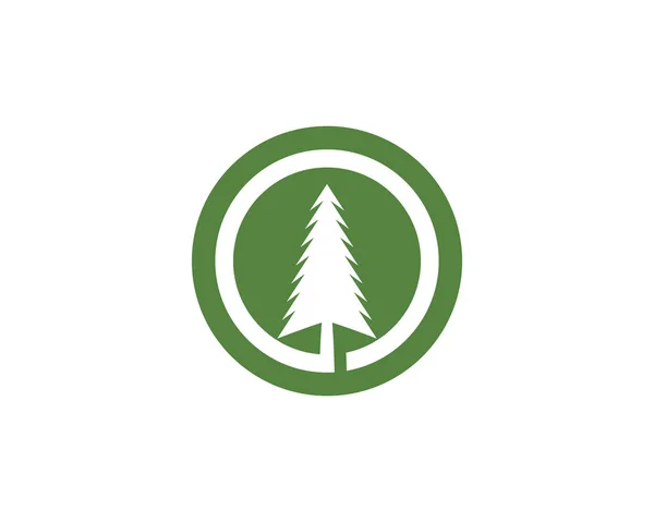 Modèle de logo arbre de cèdre vecteur — Image vectorielle