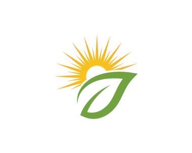 Yaprak ekoloji doğa Logo şablonu