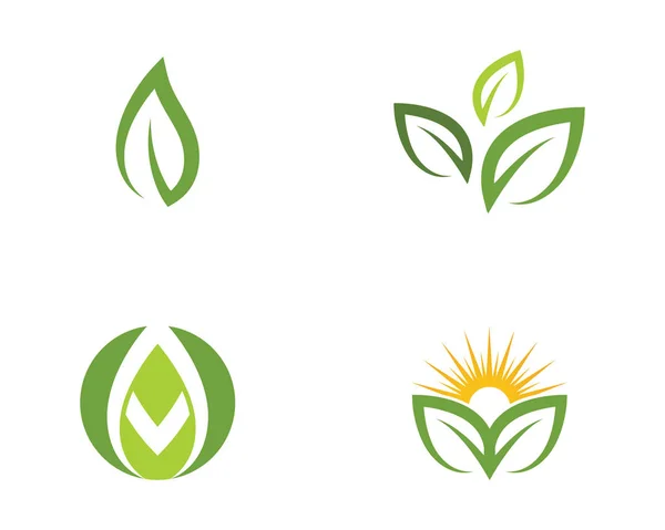 Blad ecologie natuur Logo sjabloon — Stockvector