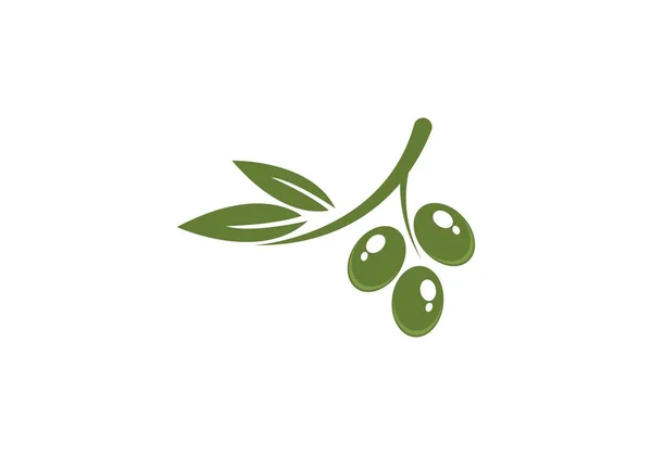 Olive logo vector — Stock Vector