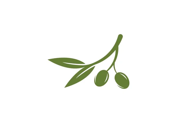 オリーブのロゴのベクトル — ストックベクタ