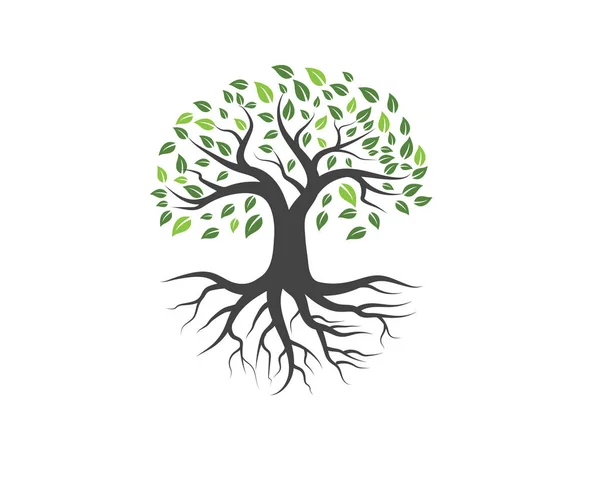 葉の緑の木のロゴ — ストックベクタ