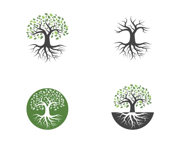 Логотипы листьев зелёного дерева — стоковый вектор