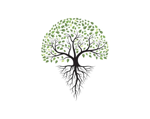 Tree icon logo template vector — Stock Vector