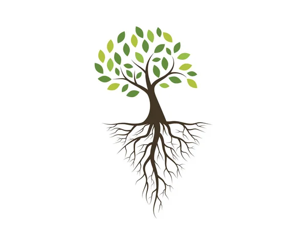 Vetor de modelo de logotipo de ícone de árvore —  Vetores de Stock