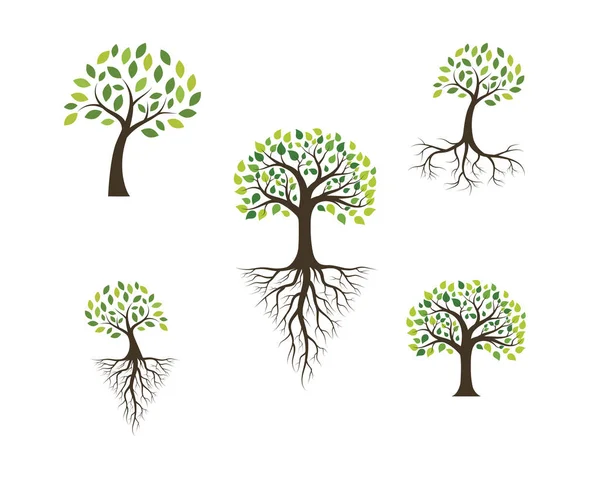 Modèle de logo icône arbre vecteur — Image vectorielle