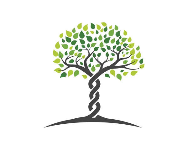 グリーン ツリーのリーフのベクトルのロゴ — ストックベクタ