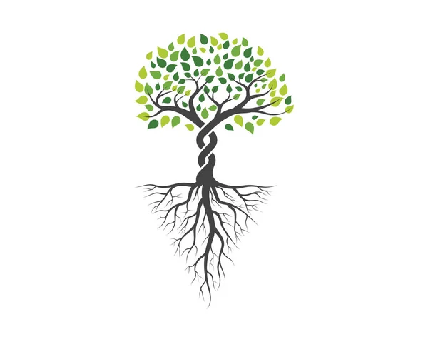 Логотипи зеленого листя дерева вектор — стоковий вектор