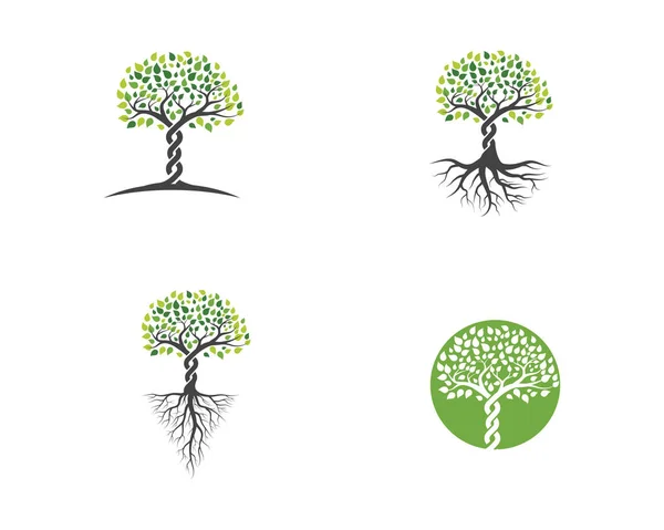 Logos des grünen Blattvektors — Stockvektor