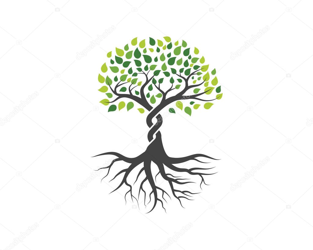Logos of green Tree leaf vector
