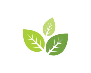 Ağaç yaprak vektör simge şablonu