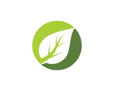 Ağaç yaprak vektör simge şablonu