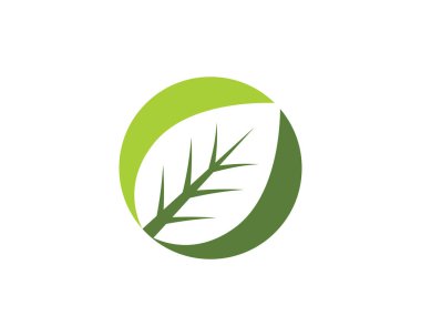 Ağaç yaprak vektör simge şablonu