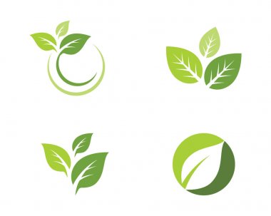 Ağaç yaprak vektör simge şablonu