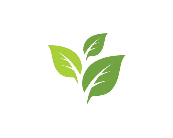 Drzewo liść wektor ikona szablonu — Wektor stockowy