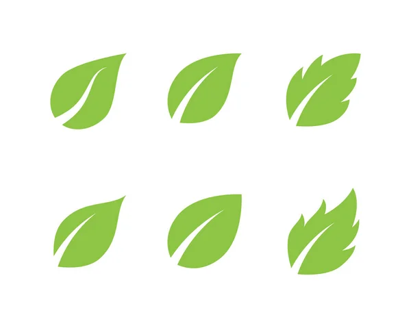 Modelo de ícone de vetor de folha de árvore — Vetor de Stock