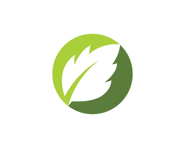 Modelo de ícone de vetor de folha de árvore — Vetor de Stock
