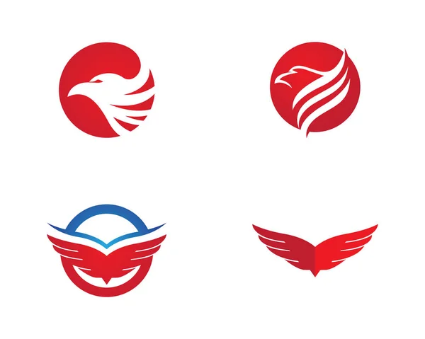 Kanat Falcon Logo şablonu — Stok Vektör