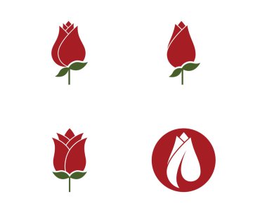 Gül çiçeği logo şablonu