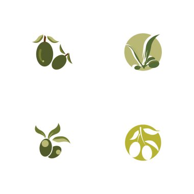 Zeytin simge vektör çizim