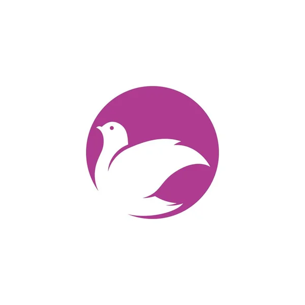 Vorlage: Vogel-Flügel-Taube — Stockvektor