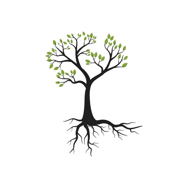 Logos de la ecología verde de la hoja del árbol — Vector de stock
