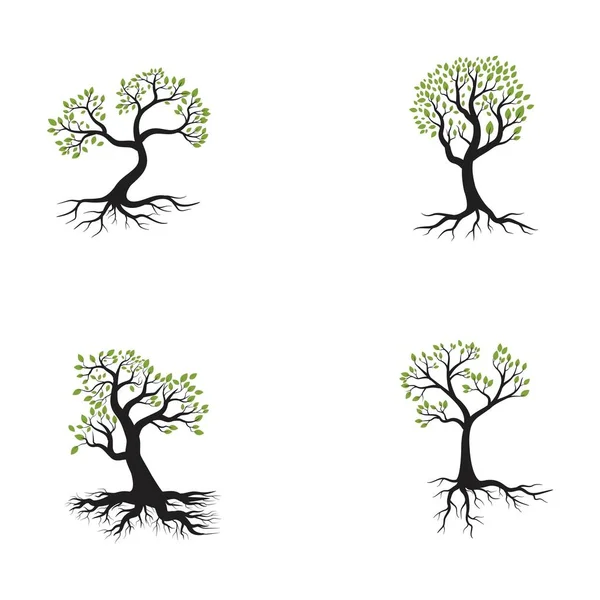 Logos de l'écologie verte des feuilles d'arbre — Image vectorielle