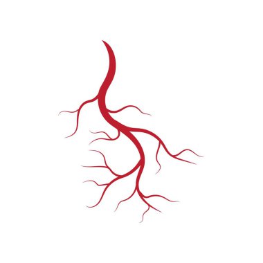 İnsan damarları ve arterler örnekleme