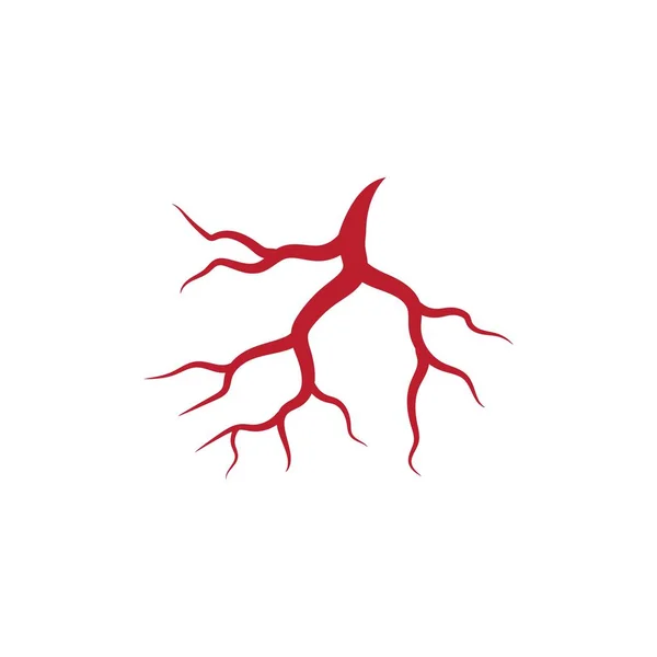 Ilustración de venas y arterias humanas — Vector de stock