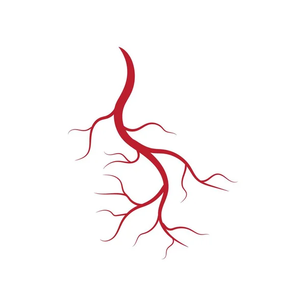 Illustrazione di vene e arterie umane — Vettoriale Stock