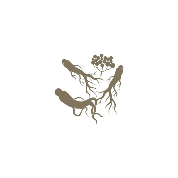 Ginseng ikon vektor Illustration design logotyp — Stock vektor