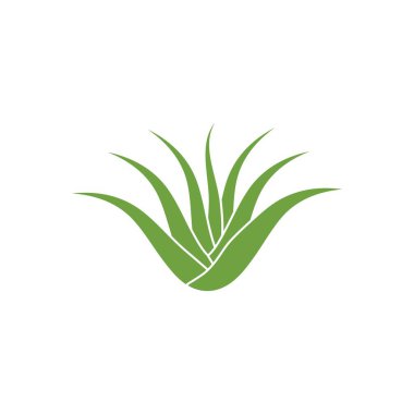 Aloe vera simgesi Vektör İllüstrasyon Tasarım Logosu