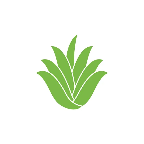 Aloe Vera icon โลโก้การออกแบบภาพวาดเวกเตอร์ — ภาพเวกเตอร์สต็อก