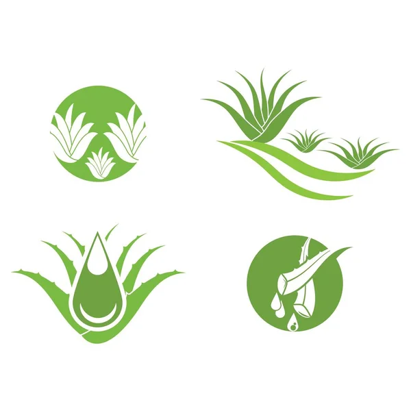 Icono de Aloe vera Vector Diseño de ilustración Logotipo — Vector de stock