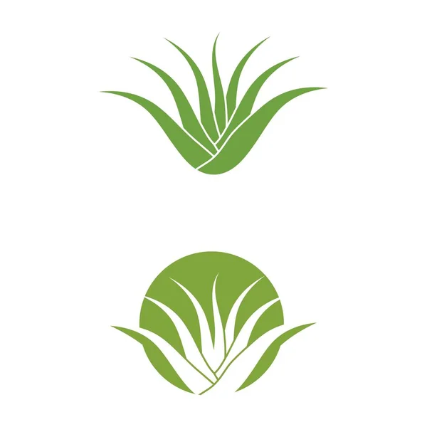 Логотип векторной иллюстрации алоэ вера — стоковый вектор