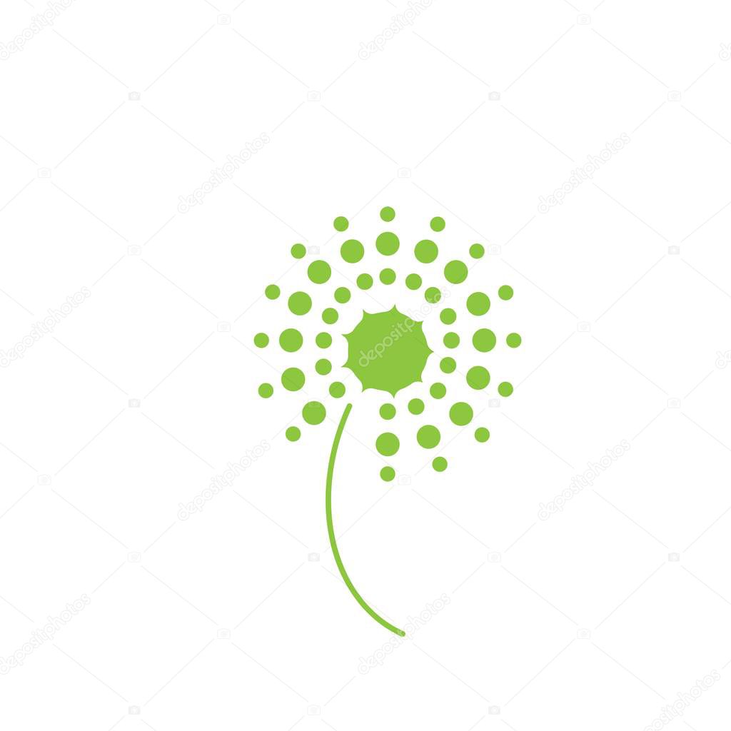 Dandelion icon Vector Illustration design Logo template