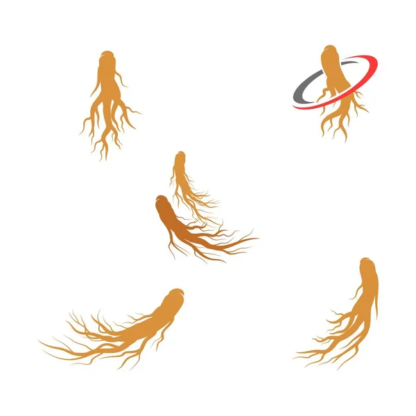 Ilustração do ícone do vetor Ginseng — Vetor de Stock