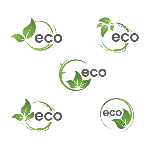 Eco da ecologia verde da folha da árvore — Vetor de Stock