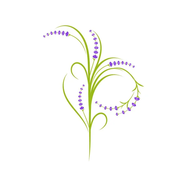 Lavanda flor ícone do vetor ilustração —  Vetores de Stock