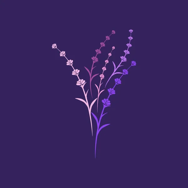 Flor de lavanda Icono vectorial ilustración — Archivo Imágenes Vectoriales