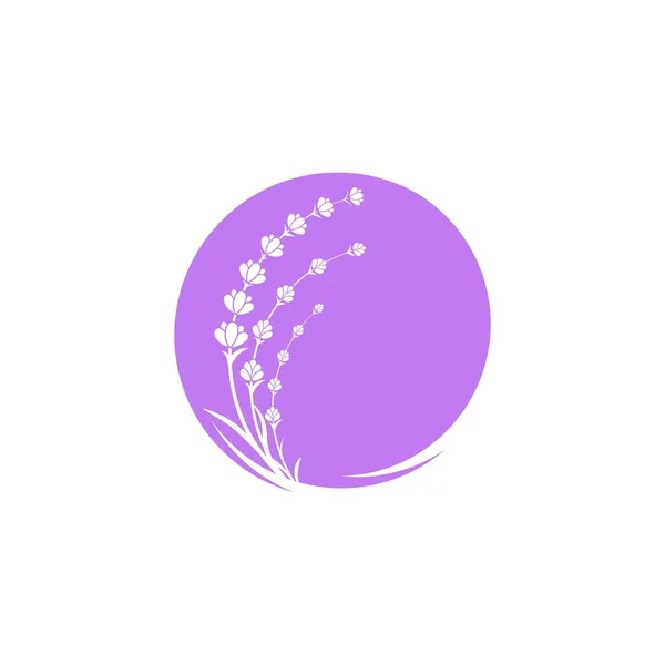 Fleur de lavande Illustration d'icône vectorielle — Image vectorielle