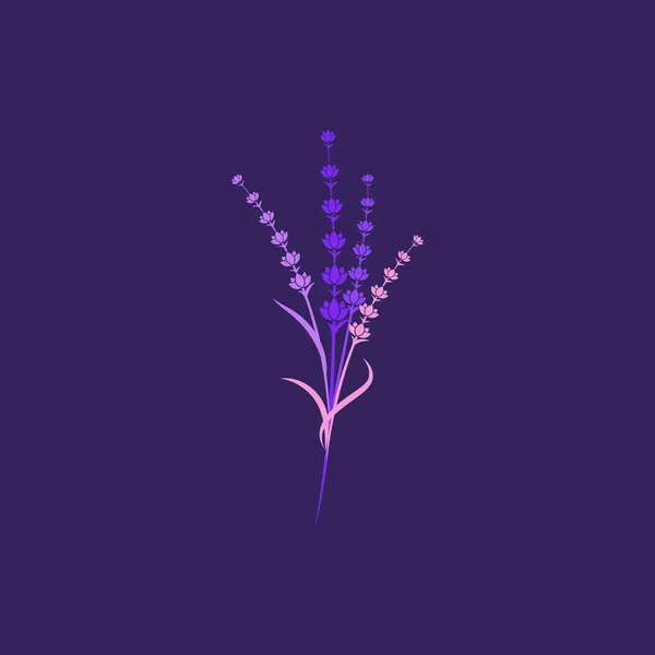 Εικονογράφηση εικονίδιο διάνυσμα λουλούδι λεβάντα — Διανυσματικό Αρχείο